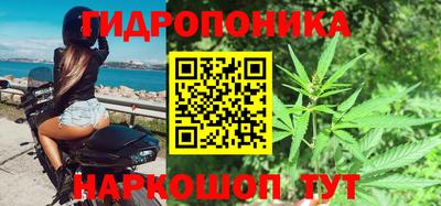 крисы Аргун