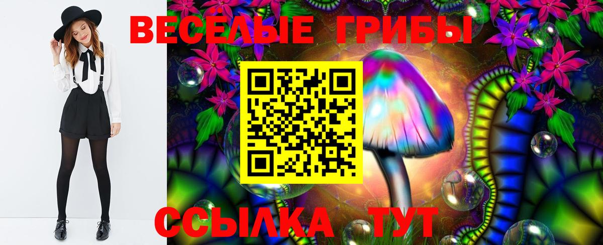 Псилоцибиновые грибы MAGIC MUSHROOMS Апшеронск